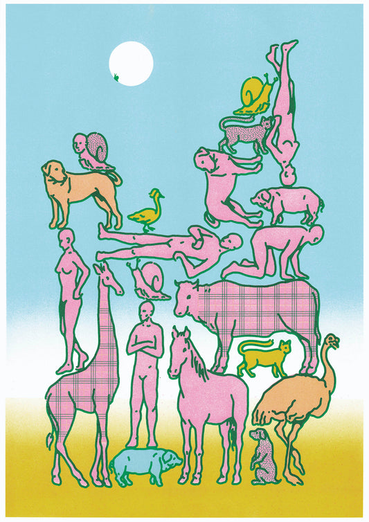 Humains & non-humains
